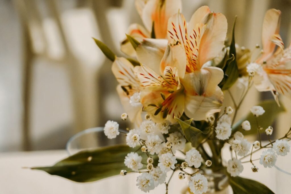 manter flores em casa