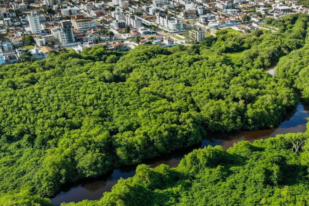 Quem é Obrigado a Ter a Licença Ambiental