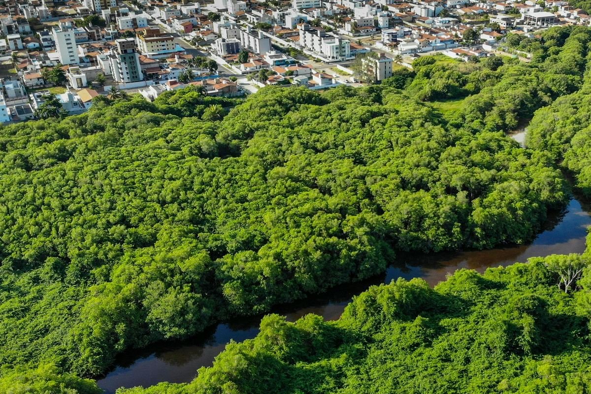 Quem é Obrigado a Ter a Licença Ambiental